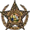 sheriff badge image